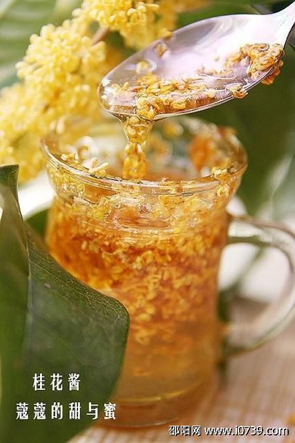 探索自酿桂花茶的简单方法及桂花蜂蜜酱制作指南