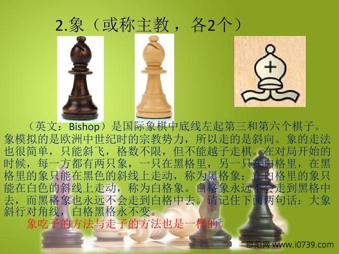 国际象棋规则和走法全解析 附最简单详细的教学