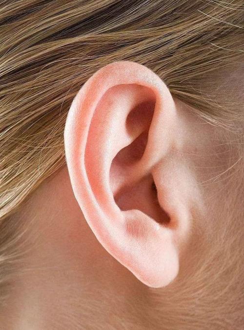 三个关键因素影响男性长寿：耳朵 手劲和肺活量