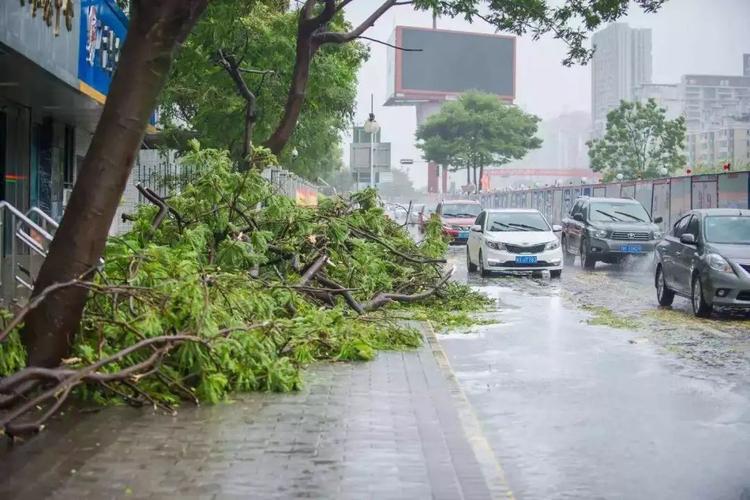 深圳城市10级狂风持续20小时 居民应加强防御