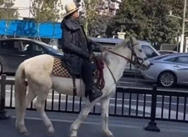 上海警方拦下37岁骑马男子进入闹市，围观者纷纷议论 上海男子骑马进入闹市，引发围观，警方迅速处罚