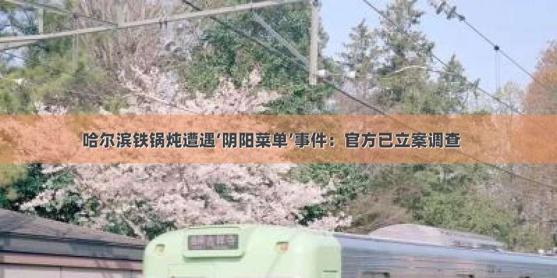 哈尔滨铁锅炖遭遇‘阴阳菜单’事件：官方已立案调查