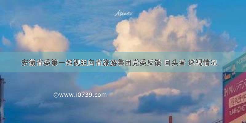 安徽省委第一巡视组向省旅游集团党委反馈 回头看 巡视情况
