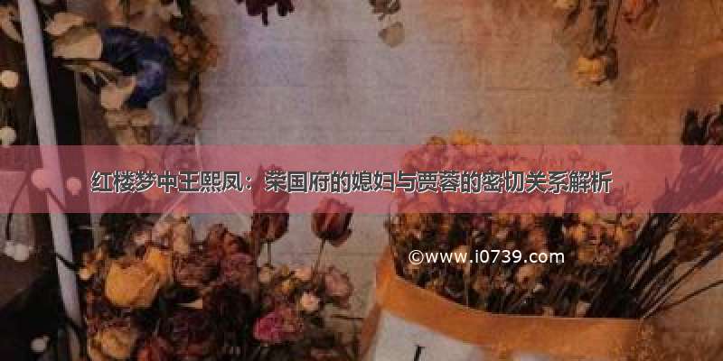 红楼梦中王熙凤：荣国府的媳妇与贾蓉的密切关系解析