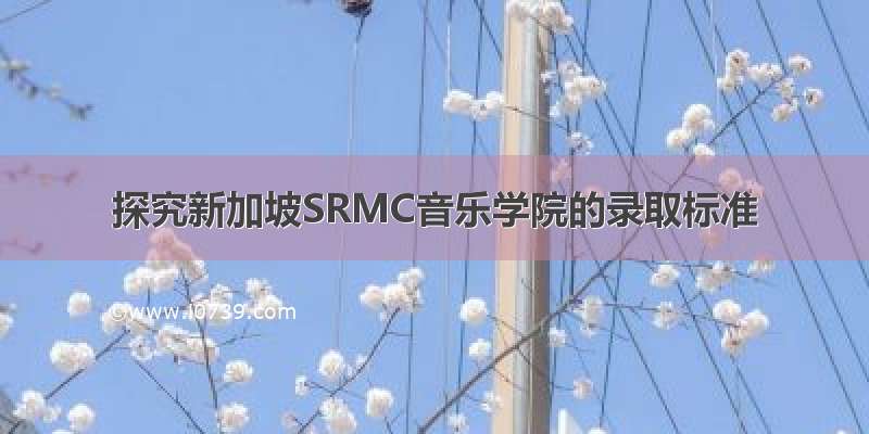 探究新加坡SRMC音乐学院的录取标准