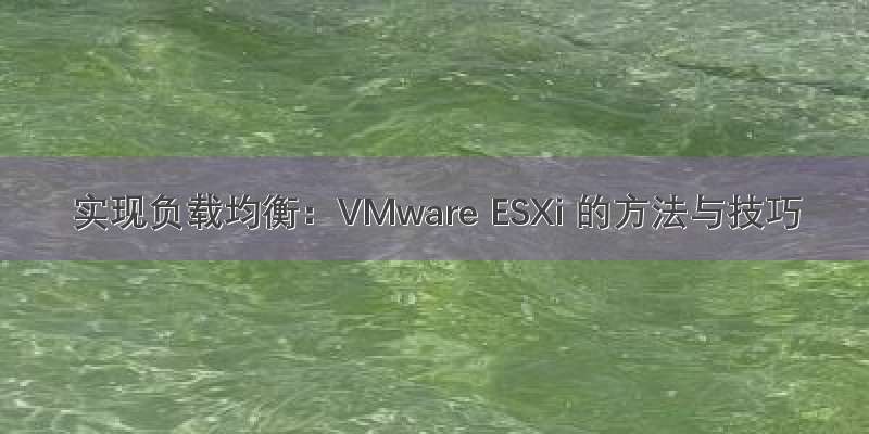 实现负载均衡：VMware ESXi 的方法与技巧