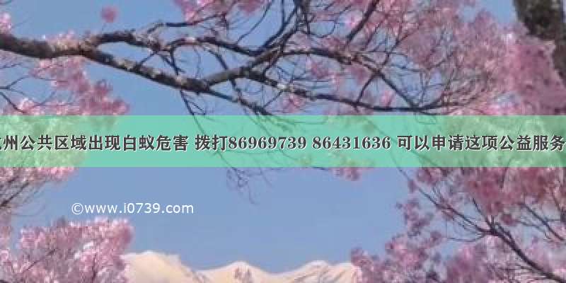 杭州公共区域出现白蚁危害 拨打86969739 86431636 可以申请这项公益服务