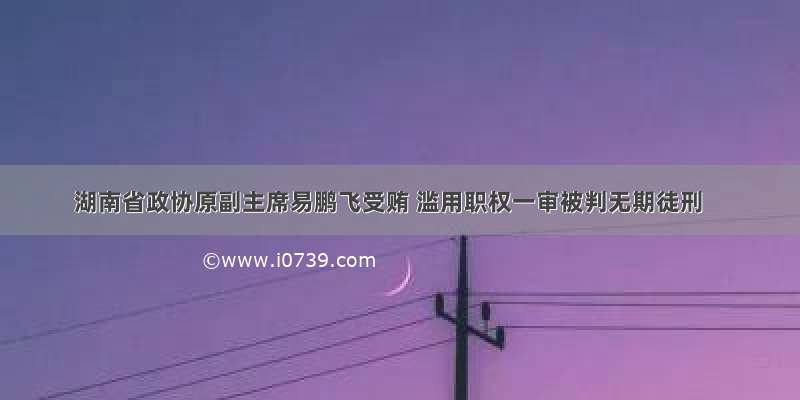 湖南省政协原副主席易鹏飞受贿 滥用职权一审被判无期徒刑