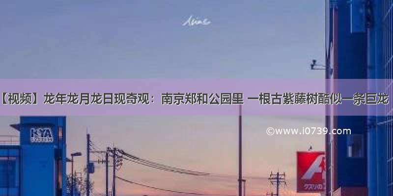 【视频】龙年龙月龙日现奇观：南京郑和公园里 一根古紫藤树酷似一条巨龙
