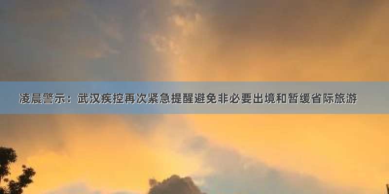 凌晨警示：武汉疾控再次紧急提醒避免非必要出境和暂缓省际旅游