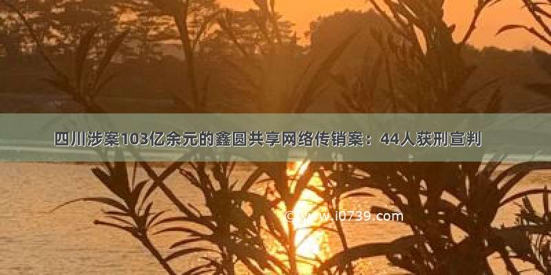 四川涉案103亿余元的鑫圆共享网络传销案：44人获刑宣判